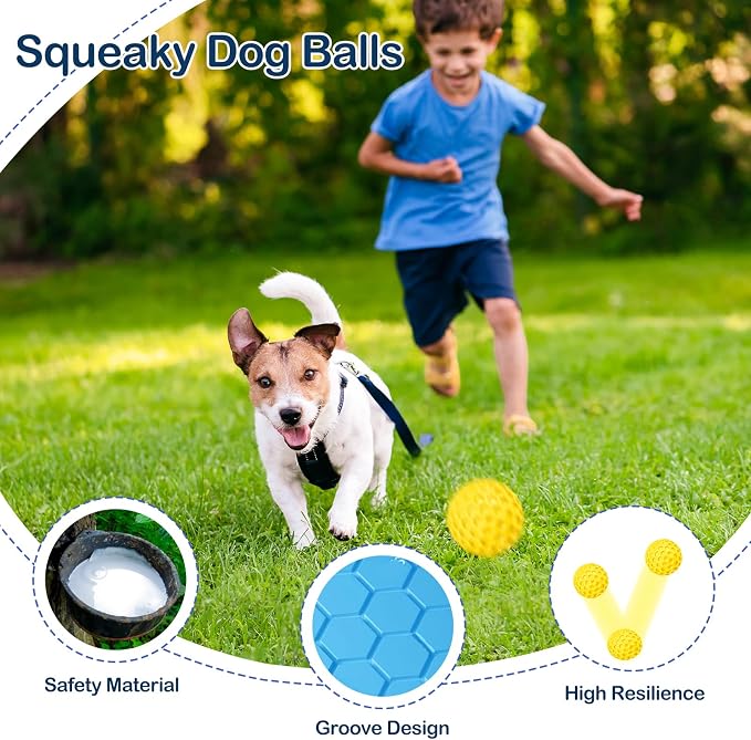 2 Pack Indestructible Squeaky Dog Balls for Aggressive Chewers, Interactive Dog Toys for Teething, Relieving Anxiety. Chew Toy for Large, Medium Breeds, Outdoor Rubber Balls.