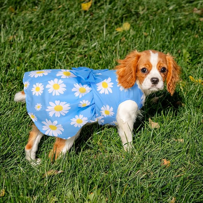 5 Pack Girl Dog Clothes Floral Summer Puppy Princess Bowknot Dog Dresses for Small Dogs Girl Clothes Cute Outfits for Boys Girls Pets Cats Dogs (Medium, Floral Summer)