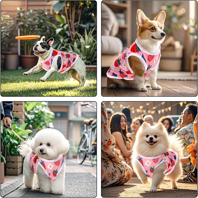 Pistha Dog Shirts Pet T-Shirt for Small Medium Dogs Cats(Strawberry2,XS) | Cute Summer Dog Clothes Breathable Cool Soft Printed Puppy Shirt Sleeveless Vests for Pets Holiday