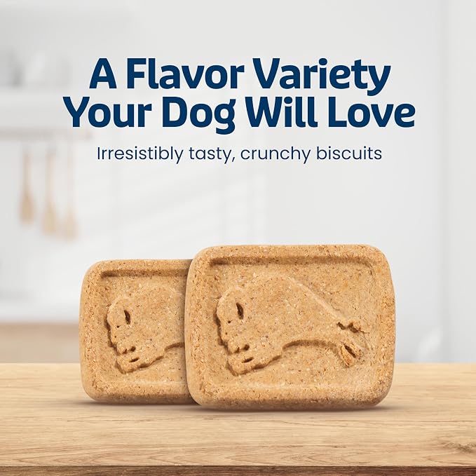 Blue Buffalo Health Bars Variety Pack Dog Biscuits, 16 oz | Bacon Egg & Cheese, Apple & Yogurt & Pumpkin & Cinnamon Recipes, Oven-Baked, Crunchy Texture