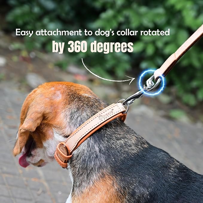 Airtag Luxury Real Leather | Genuine Leather Soft Padded Dog Collar for Medium Large Dogs Ultra | Leather with Anti -Rust Hardware (Size - XL) Fits Neck 21, 22, 23, 24 & 25 inches