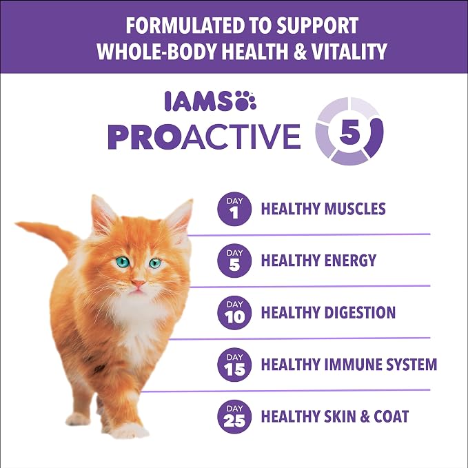IAMS Proactive Health Healthy Kitten Dry Cat Food, Salmon, 3.5 lb | Salmon #1 ingredient, DHA omega-3 for brain development, prebiotics & beet pulp, Vitamin E immune support