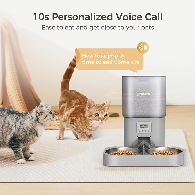 6L Automatic Cat Feeder with Dual Bowls, Button Control, Gray | Schedules 1-4 meals daily with adjustable portions, 10-second voice recording, locking lid, and AC or battery backup power.