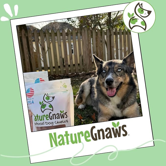 Nature Gnaws USA Turkey Tendon Rings Dog Treats, 8 oz | Grain Free Reward Snack for Small, Medium & Large Breeds - Premium Natural Dog Chew Treats - No Artificial Preservatives