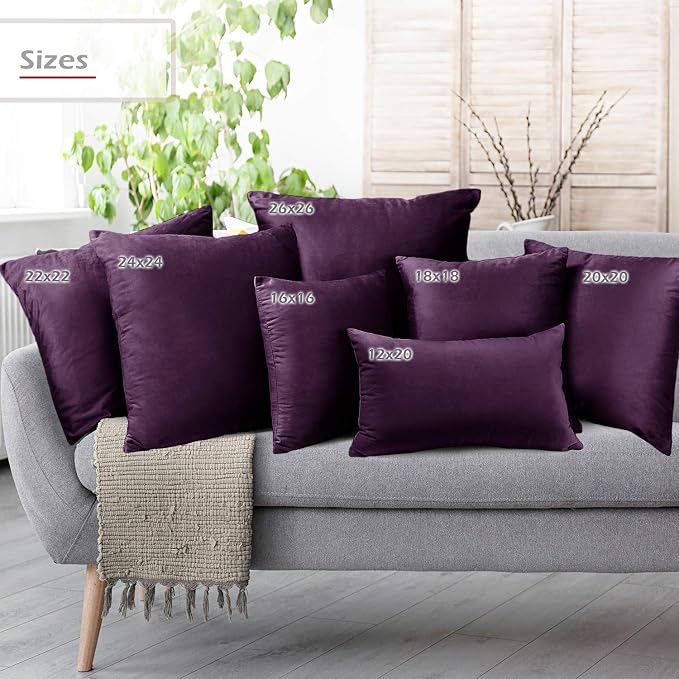 Throw Pillow Inserts Pack of 2 with Velvet Soft Solid Decorative Square Throw Pillow Covers Set for Sofa Couch Car Bedroom, 26X26 Throw Pillows Inserts with 24x24 Washable Cushion Covers, Dark Purple