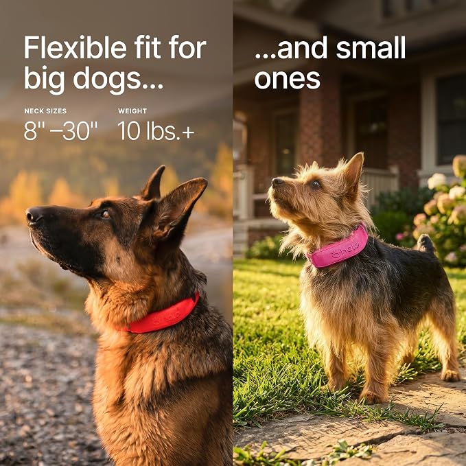 Halo Collar 5 GPS Wireless Dog Fence, Midnight | Keep Your Dog Safe with Custom Boundaries, Real-Time Tracking, and Instant Alerts at Home, Away, or Off-Grid