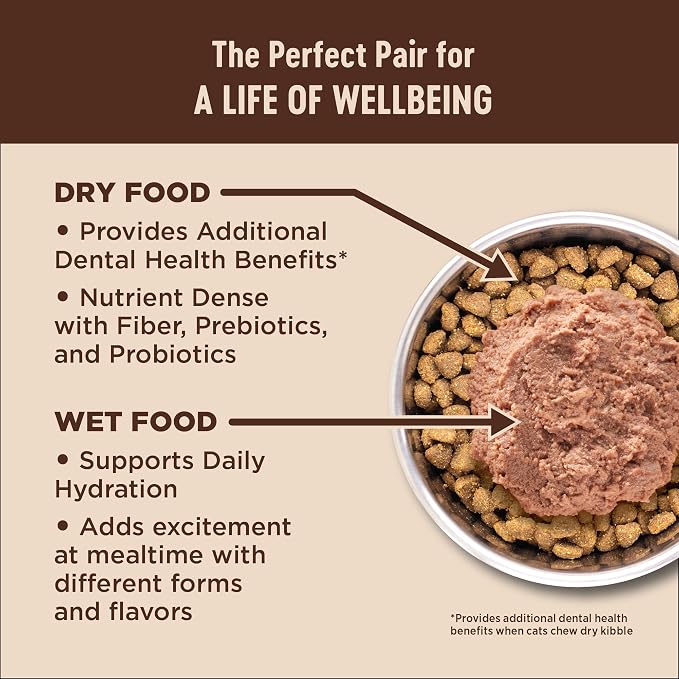 Wellness CORE+ Adult Dry Cat Food for Indoor Cats, Natural, Grain Free Kibble, Salmon and Herring Meal Recipe, 11 lb Bag