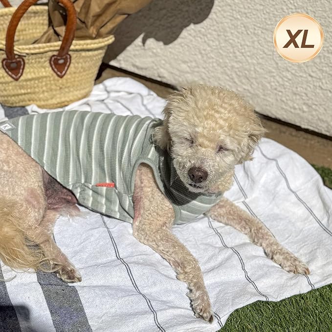 KYEESE 2Pack Waffle Dog Shirt for Small Medium Dogs Striped Dog Sweater | Cozy Warmth, Lightweight & Breathable, Gentle on Sensitive Skin, Stretchy & Free to Move, Comfortable Daily Wear