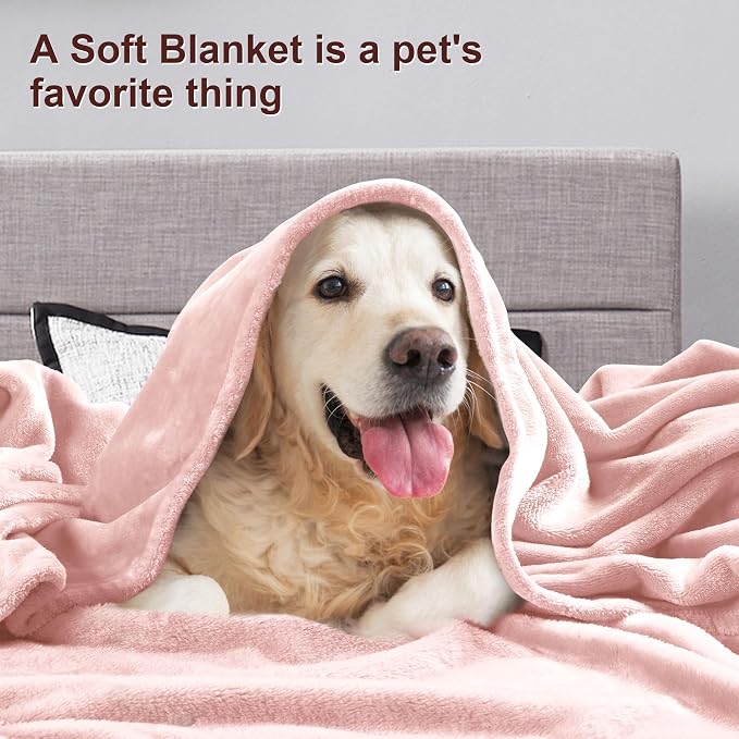 DREAMNINE Pack of 10 Fuzzy Soft Fleece Throw Blanket for Couch Sofa 50" x 60", Decorative Solid Lightweight Velvet Blankets for Chair, Cozy Accent Shaggy Plush Flannel Blanket for Bedroom, Pink