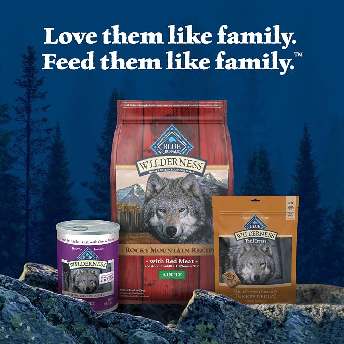 Blue Buffalo Wilderness Turkey Crunchy Dog Biscuits, Grain-Free, 24 oz | Real Turkey #1 Ingredient, Crunchy Biscuits, High Protein Nutrition, No Artificial Preservatives