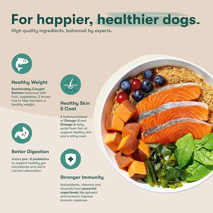 Jinx Premium Dry Dog Food, for All Life-Stages - Real Salmon, Brown Rice & Sweet Potato Kibble with Superfoods for Immune Support & Probiotics for Digestive Support - No Fillers – 4lb (Pack of 2)