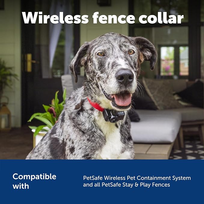 PetSafe Wireless Pet Containment System Collar | Collar Only, Replacement, Extra, Add-A-Dog to PetSafe Wireless Fence, Waterproof, Tone & Static, Pets 8 lb+, Neck 6-28 in