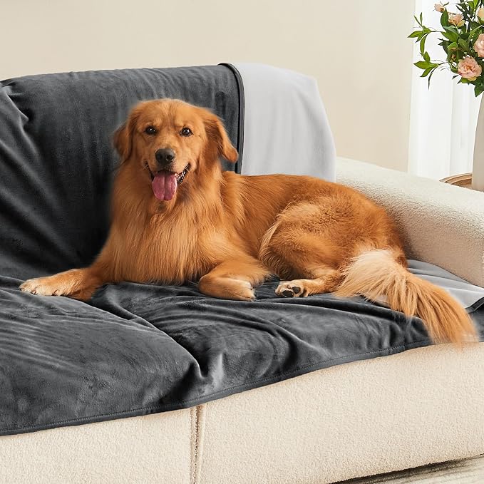 Waterproof Blanket Bed Cover 60"x80" for Adults or Pets, Dark Grey | Soft Pet Blanket for Dogs Cats, Reversible Leakproof Blanket for Bed Couch Sofa, Furniture Protector