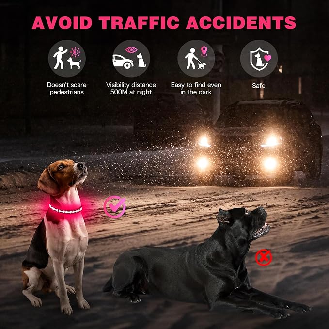 Flashseen LED Dog Collar Light Up USB-C Rechargeable(Pink, Medium)