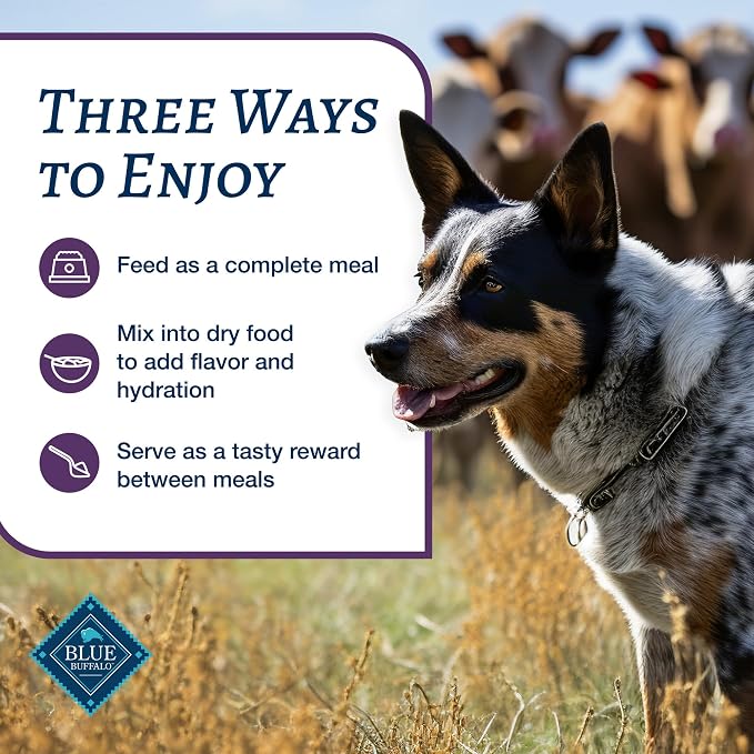 Blue Buffalo Family Favorites Beef Adult Wet Dog Food, 12.5 oz, 12 ct | Shepherd's Pie Recipe, Real Beef First, in Gravy, Feed as Treat, Topper, or Meal, No Corn, Wheat, or Soy