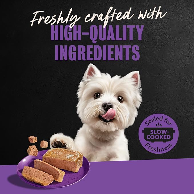 Cesar Classic Loaf in Sauce Wet Dog Food, Grilled Chicken, 3.5 oz, 24 Count | Made in USA, Real chicken #1 ingredient, slow-cooked tender texture, no fillers or artificial flavors, easy peel trays