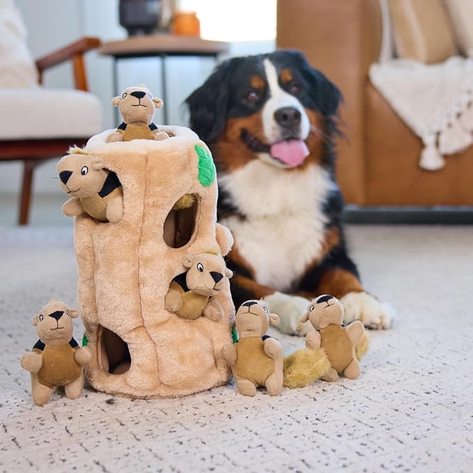 Outward Hound Hide-A-Squirrel Plush Squeaky Dog Toy, XL, 7" x 11.8" | Hide-n-Seek Puzzle, 6 Removable Squirrels, Fetch Play, Interactive Enrichment, Boredom Buster, Light Chewers, Dogs & Puppies