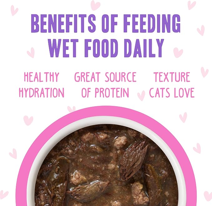Weruva B.F.F. OMG - Best Feline Friend Oh My Gravy!, Tuna & Duck Devour Me with Tuna & Duck in Gravy Cat Food, 3oz Pouch (Pack of 12)