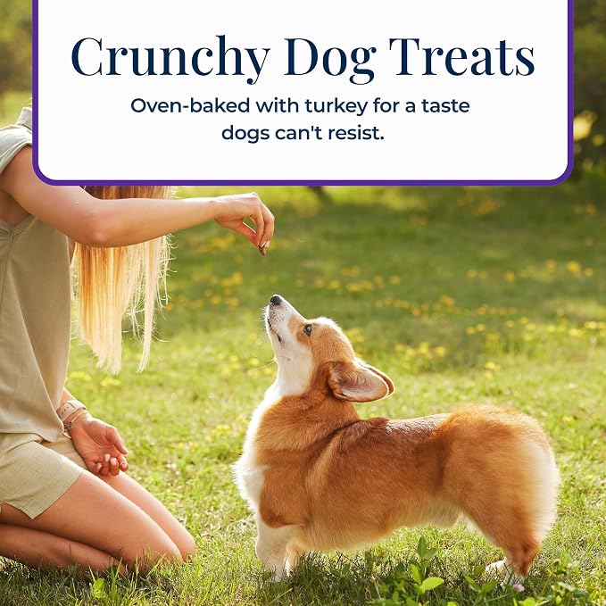 Blue Buffalo Basics Dog Biscuits, Skin & Stomach Care Crunchy Dog Treats, Turkey Recipe, 6-oz Bag (Pack of 6)
