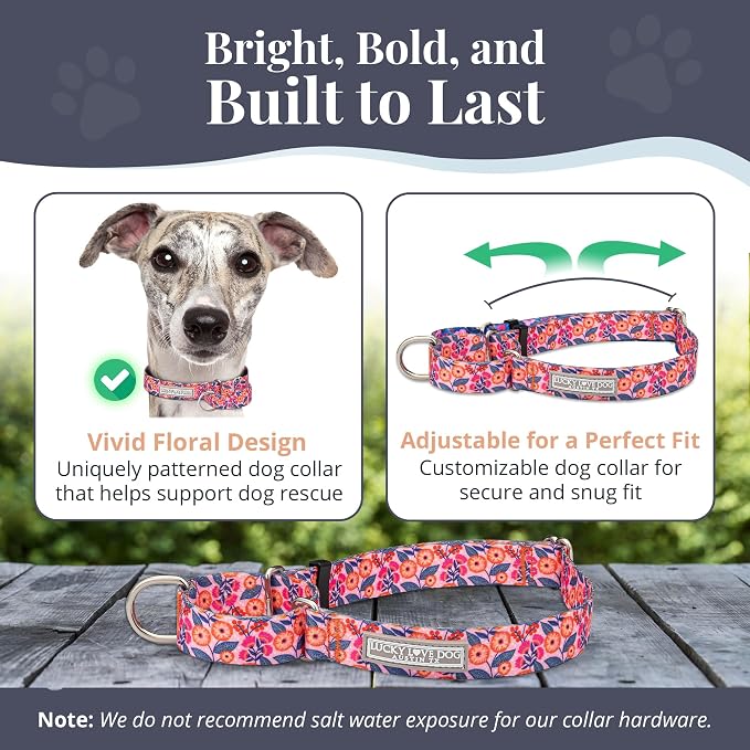 Lucky Love Dog Martingale Collar for Medium Dogs No Slip – Rosie, Medium