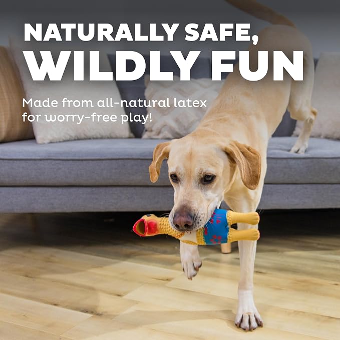 Outward Hound Squawkers Squeaky Latex Dog Toy, Earl, 11.4"