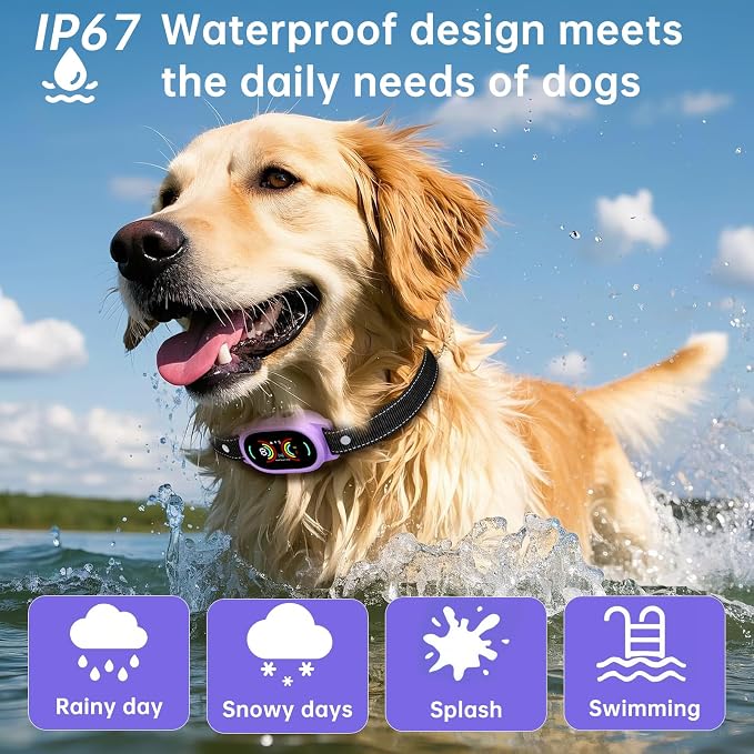 Dog Bark Collar, Rechargeable Bark Collar for Large Dog, Medium Dog and Small Dogs, IP67 Waterproof Anti Barking Collar with Adjustable Sensitivity(Purple)