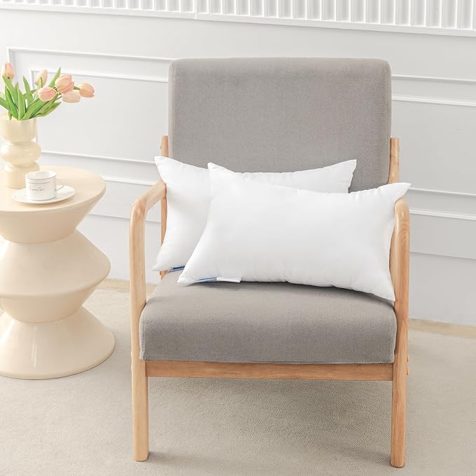 Leeden 26x26 Pillow Inserts, 26 Inch Decorative Throw Pillow Inserts, Soft Fluffy Square Throw Pillows for Couch, Sofa, Bed, and Home Decor White Pillows Pack of 2