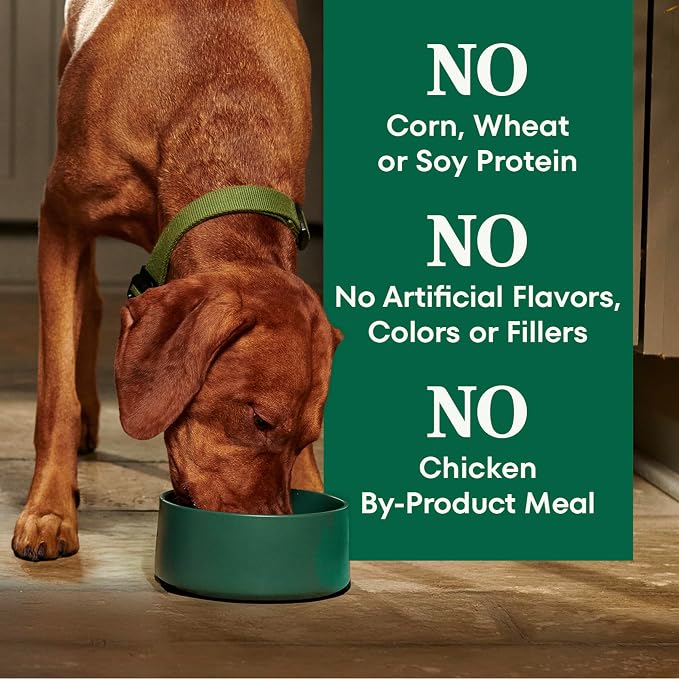 Nutro Natural Choice Large Breed Adult Dry Dog Food, Chicken & Rice, 36 lb | Real chicken #1 ingredient, non-GMO, made in USA, no corn, wheat, soy, supports joints, digestion, immunity, skin & coat