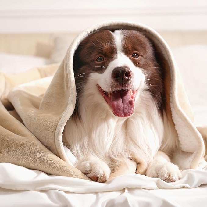 gogobunny Waterproof Bed Blanket, Reversible Sherpa Fleece Throw Blanket for Dog Puppy Cat, Furniture Cover Protects Bed Couch Sofa from Liquid Pee and Pet Fur (Beige, 25x35 inches)