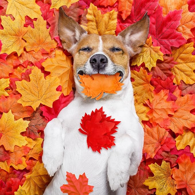 Civaner 24 Pcs Stuffed Dog Toy Squeaky Plush for Small Breed, Maple Leaves