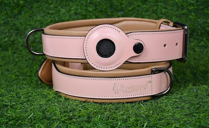 Airtag Luxury Real Leather Dog Collar Genuine Leather Dog Collar for Small Medium Large Dogs | Soft Padded Leather Collar With Anti -Rust Buckle Hardware (Size - S)Fits Neck 12, 13 & 14 inches