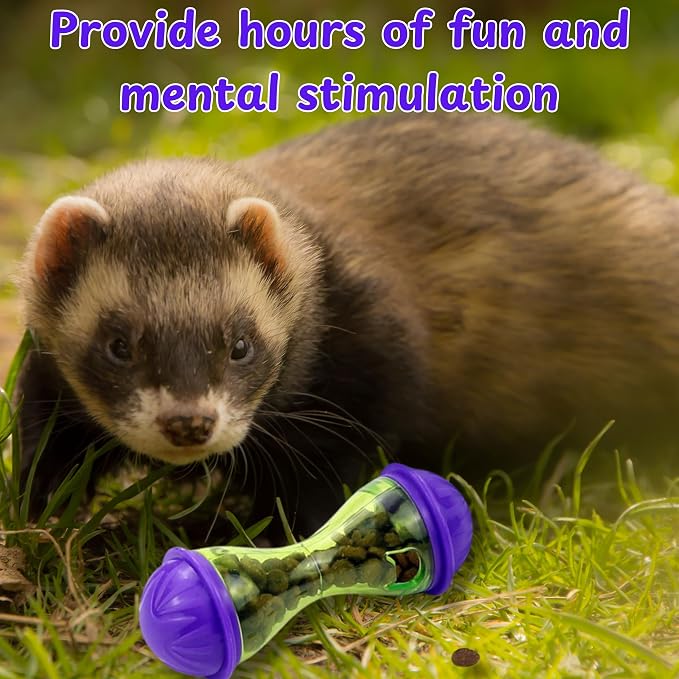 Ferret Treat Ball Interactive Toy Balls for Small Animal, Enrichment Toys Ferrets Dry Food Ball for Ferrets Guinea Pig Rat Chinchilla Hedgehog Bunny, Pet Ferret Accessories (L, Bone)