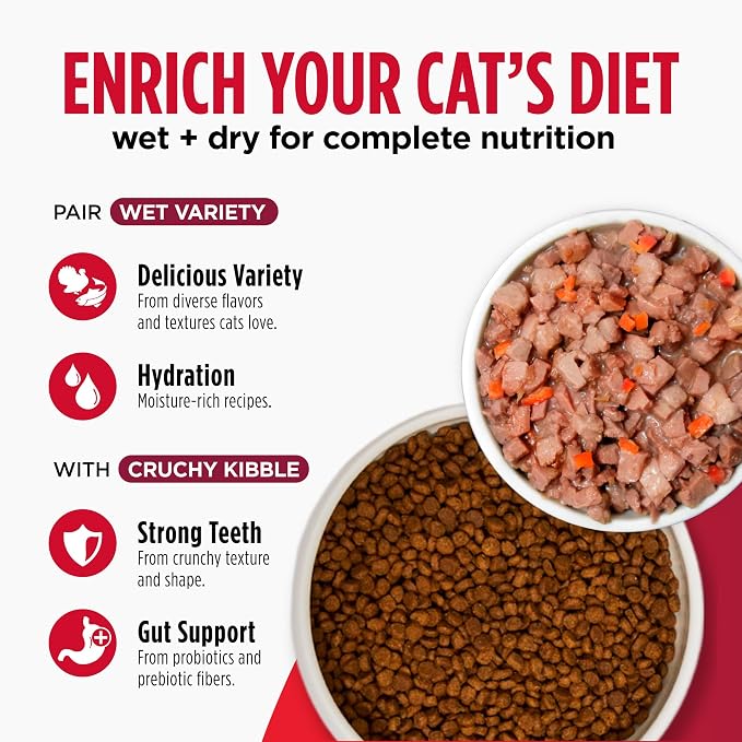Nulo Freestyle Cat & Kitten Dry Food - Turkey & Duck Recipe, High Protein Grain Free Cat Food, Natural Kibble with Probiotics & Omega Fatty Acids, 4lb Bag