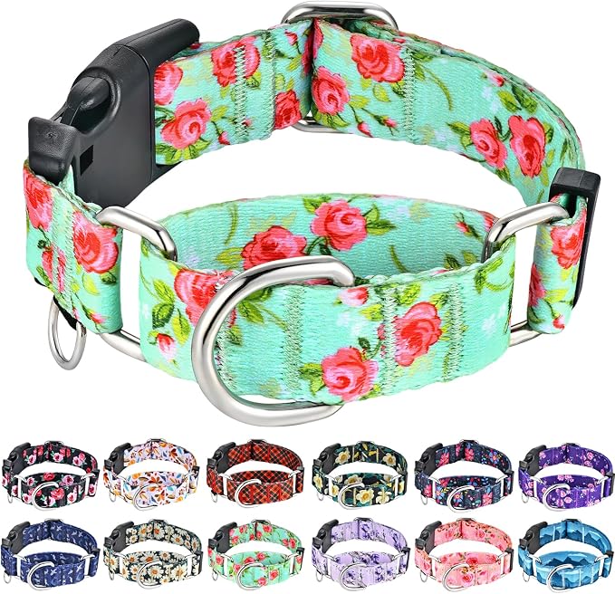 Martingale Collar for Dogs with Buckle No Pull, Green Rose, Small