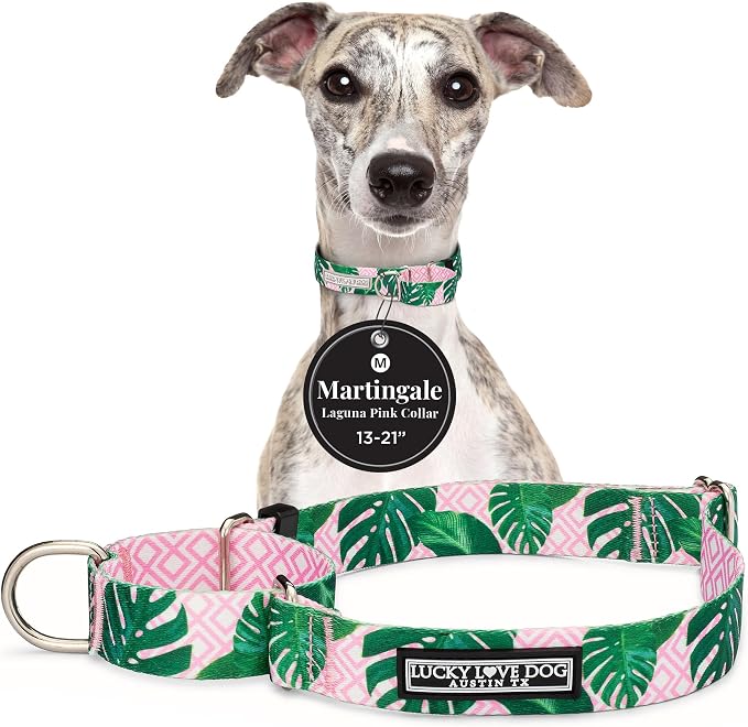 Lucky Love Dog Martingale Collar for Medium Dogs No Slip – Laguna, Medium