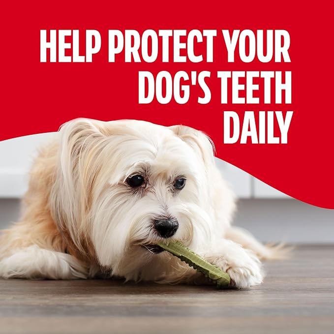 Milk-Bone Brushing Chews Fresh Mint Flavor Daily Dental Dog Treats, Mini, 18.9 Oz. Bag (Pack of 5)