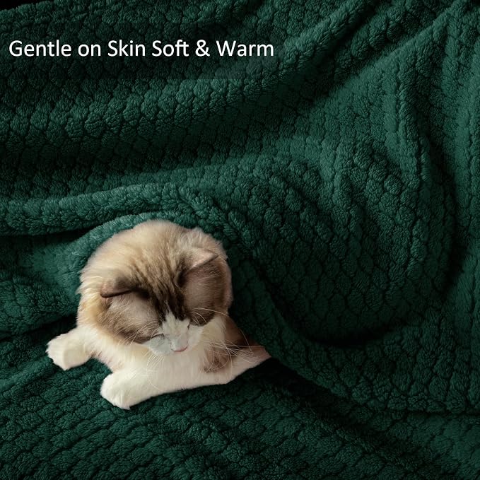 Exclusivo Mezcla Soft Fleece Throw Blanket for Couch, Forest Green | Jacquard Lightweight Cozy Throws for Bed, Sofa, Breathable Decorative Fuzzy Textured All Season Use, 50x60 Inches
