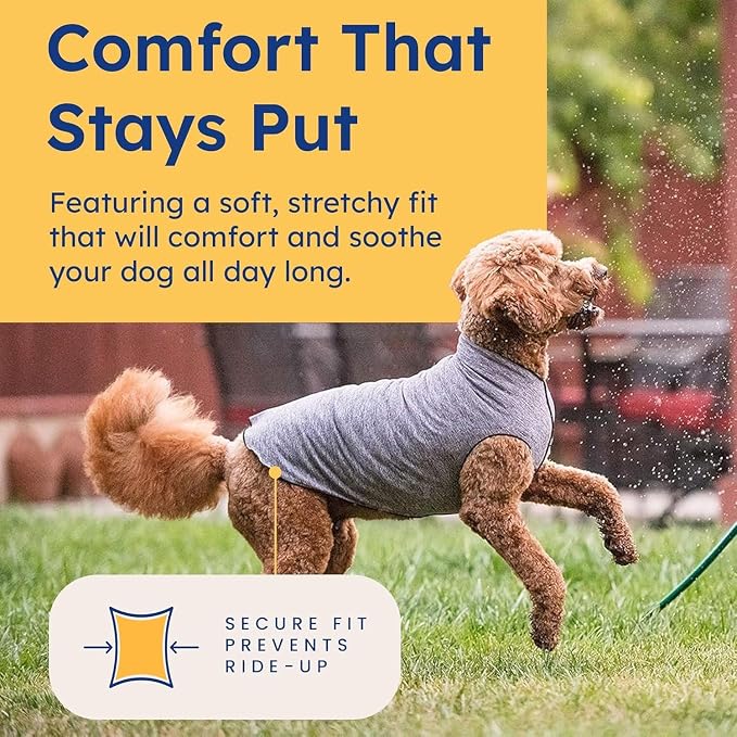 Goldpaw Dog Sun Shirt with UV Protection - Lightweight, Cooling Sun Protection Clothing for Dogs - Reduce Heat Absorption - Pet Clothes Made in the USA - Machine Washable - Size 22 - Pink Lemonade