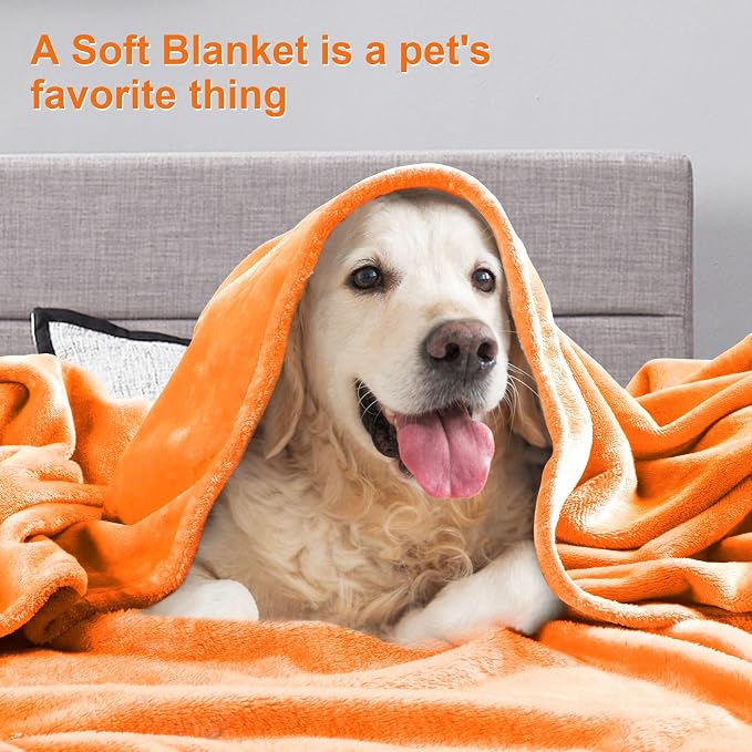 DREAMNINE Super Large Soft Fall Fluffy Fleece Bed Blanket King Size 90" x 108", Luxury Decorative Fuzzy Halloween Blanket for Bedroom,Big Cozy Shaggy Warm Flannel Blankets for Winter Autumn Pet,Orange