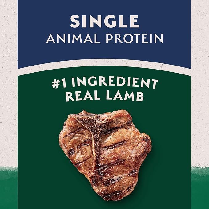 Natural Balance Limited Ingredient Dry Dog Food - Complete Nutrition for Adult Dogs - Wholesome Grains Brown Rice Recipe - Limited Ingredient Formula - 4 lb - Lamb & Brown Rice