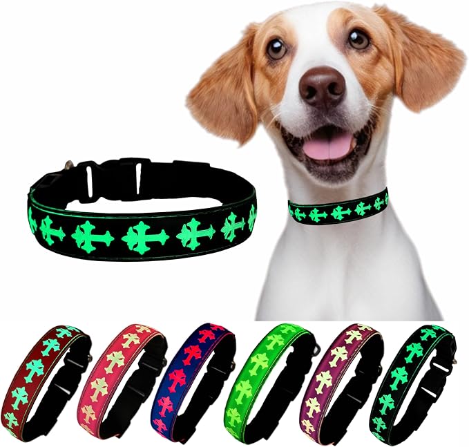 Light Up Glow Dog Collar with Chinese Style AirTag Holder