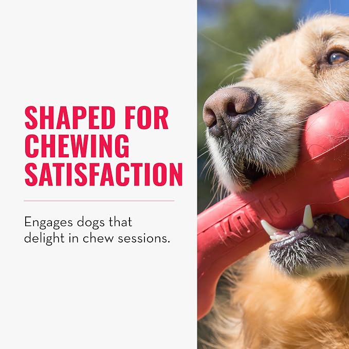 KONG Goodie Bone - Classic Durable Natural Rubber Dog Bone, Supports Mental Engagement - Treat Dispensing - Red - for Medium Dogs (Pack of 2)