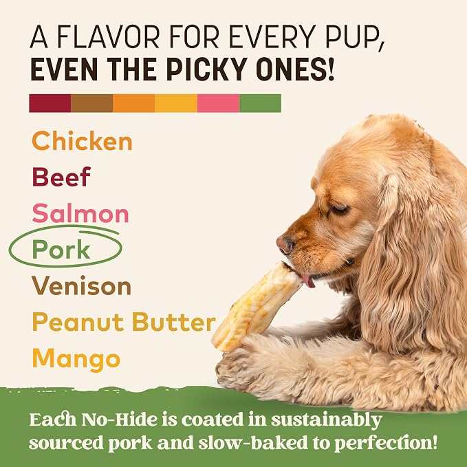 Earth Animal No Hide Dog Chews - Rawhide Free Small Rolls 2 Count Pork | Small Rolls Pork Flavored Natural Rawhide Free Long Lasting Dog Chews - Pet Treats for Small Dogs