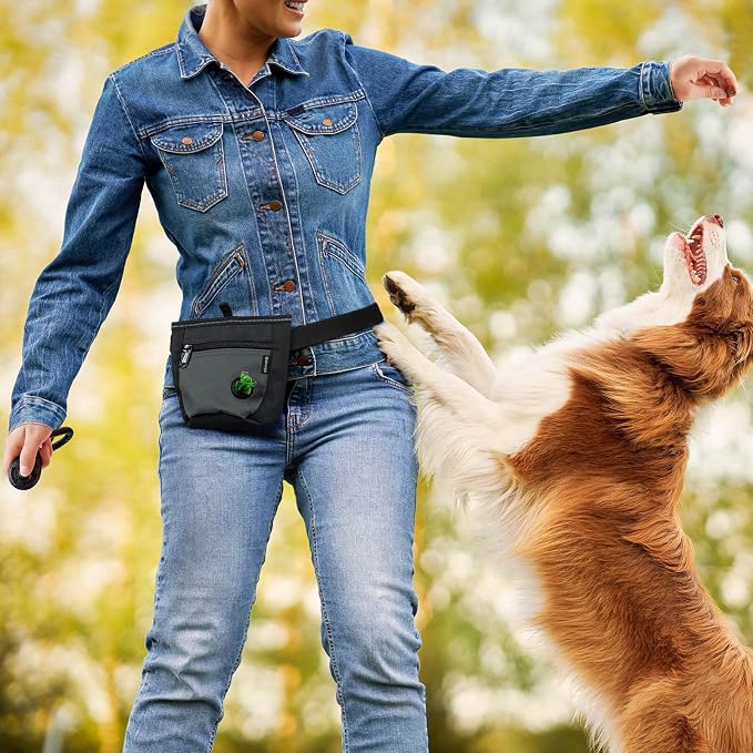 Gobeigo 2 Cup Dog Treat Pouch with Training Clicker(Black/Gray) | 2 Pair Magnetic Closures, Zipper Pocket with Poop Bag Holder, Waist Belt & Metal Clip to Wear for Pet Training/Daily Walking