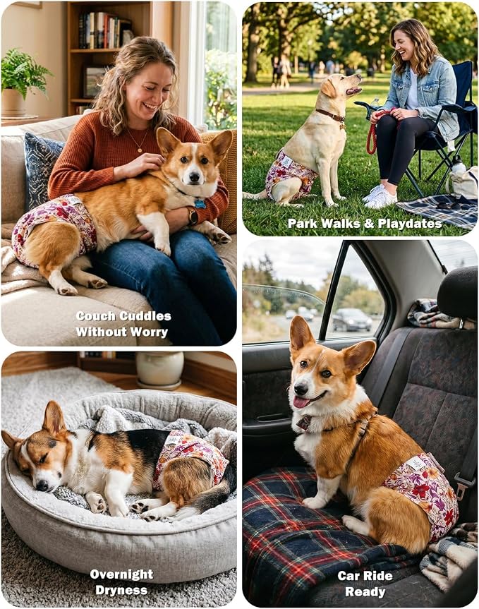 CuteBone Dog Diapers Female Washable Small Medium Large 3 Pack Reusable Doggie Diapers Puppy Period Pants for Doggy Heat Cycle Peeing