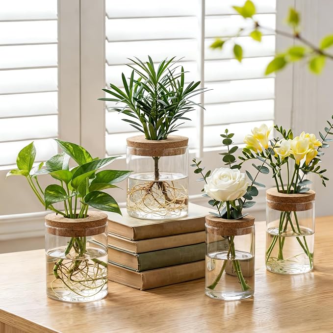 Dahey 4Pcs Glass Plant Propagation Station, 2 Large Vases & 2 Small Pots | Clear Root-View Water Jars, Cork Lids Cut Evaporation, Dust Proof & Soil-Free, Fits Hydroponic Cuttings, Desktop Indoor Decor