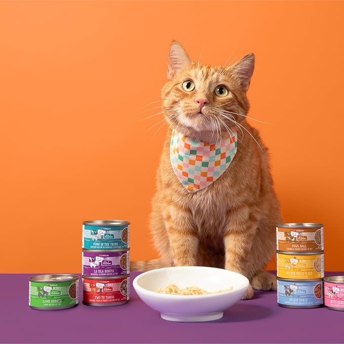 Weruva Cats in The Kitchen, Kitchen Cuties Variety Pack, Wet Cat Food, 6oz Cans (Pack of 24)