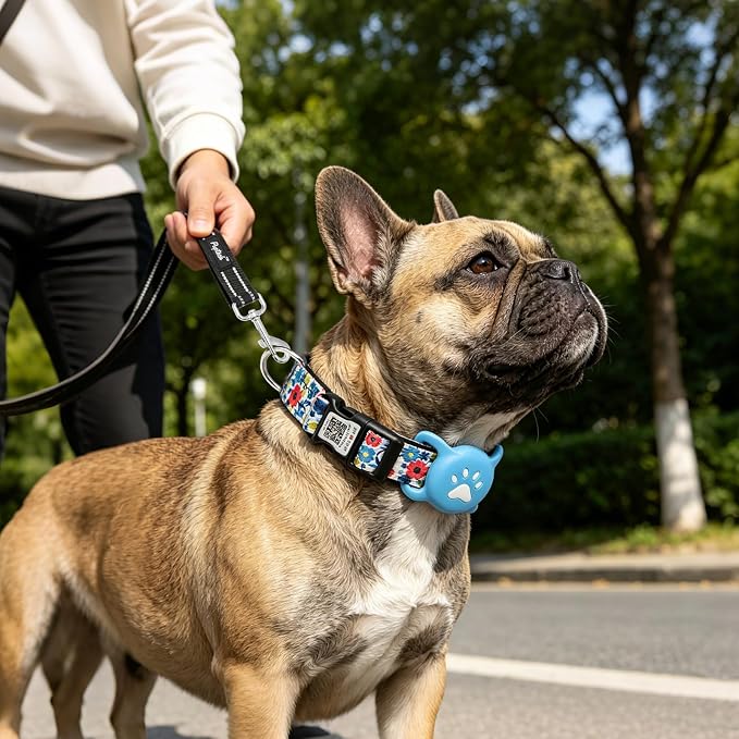 PUPTECK Airtag Dog Collar, Reflective with QR Code Buckle, Waterproof AirTag Holder Outdoor Tracking Pet Collars, Adjustable Soft Padded Durable for Small Medium Large Dogs Walking Training, Blue L