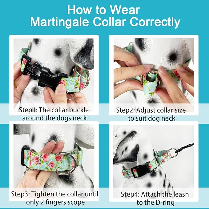 Martingale Collar for Dogs with Buckle No Pull, Green Rose, Small