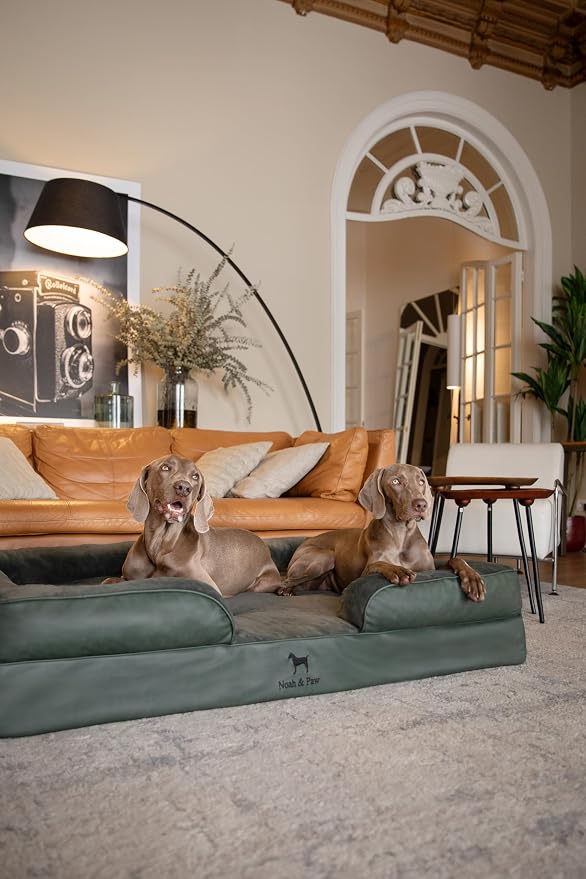 NOAH & PAW Giant Dog Bed XXL, 55x45x11 Inch, Orthopedic Dog Beds, Eggshell Memory Foam Infused with Cooling Gel, Inner Cover, Water Resistant, Machine Washable (Faux Leather)